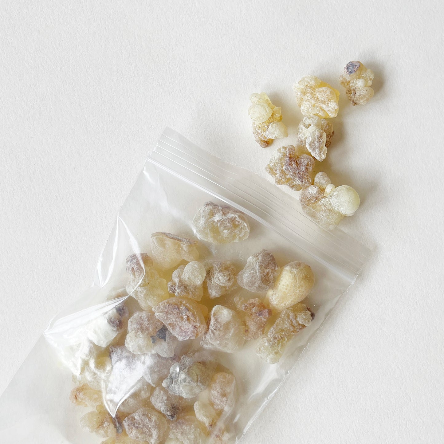 Hojari Frankincense - 1st Choice - Oman - 1 ounce