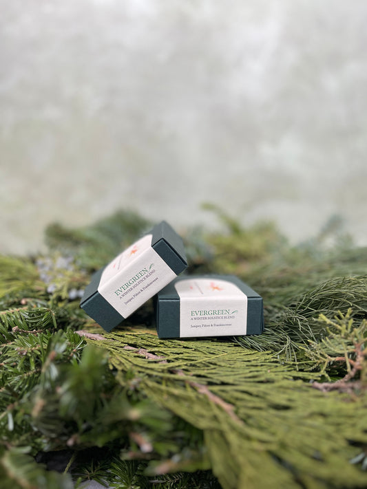 Evergreen: A Winter Solstice Blend | 100% Natural Incense Cones | Hand Rolled | Pack of 11
