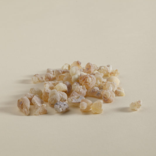 Hojari Frankincense - 1st Choice - Oman - 1 ounce